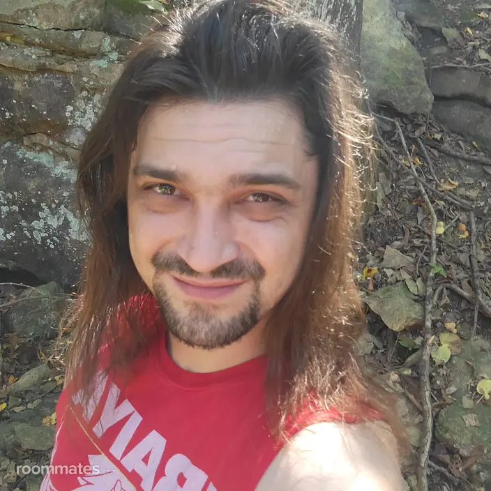 Roommate looking Lenexa, KS, $800