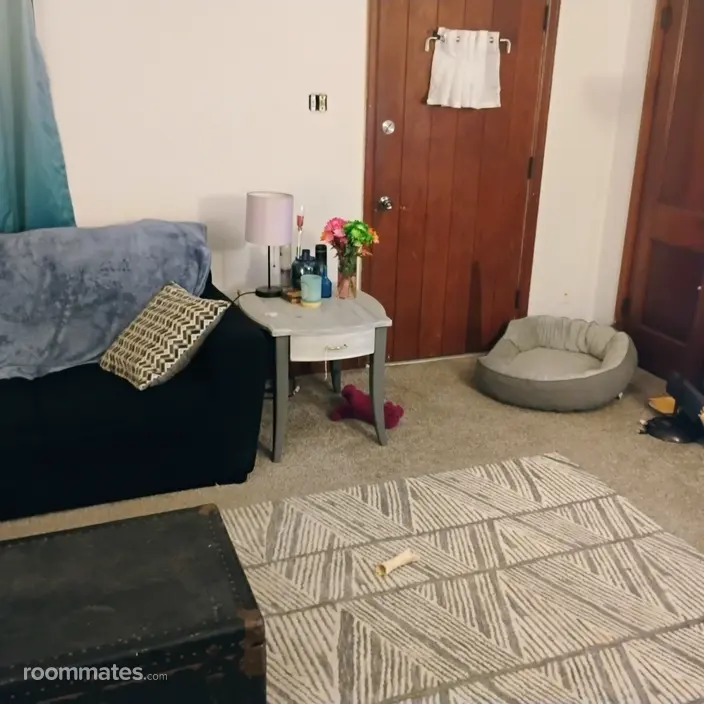 Room for rent in Chillicothe, IL $550, house