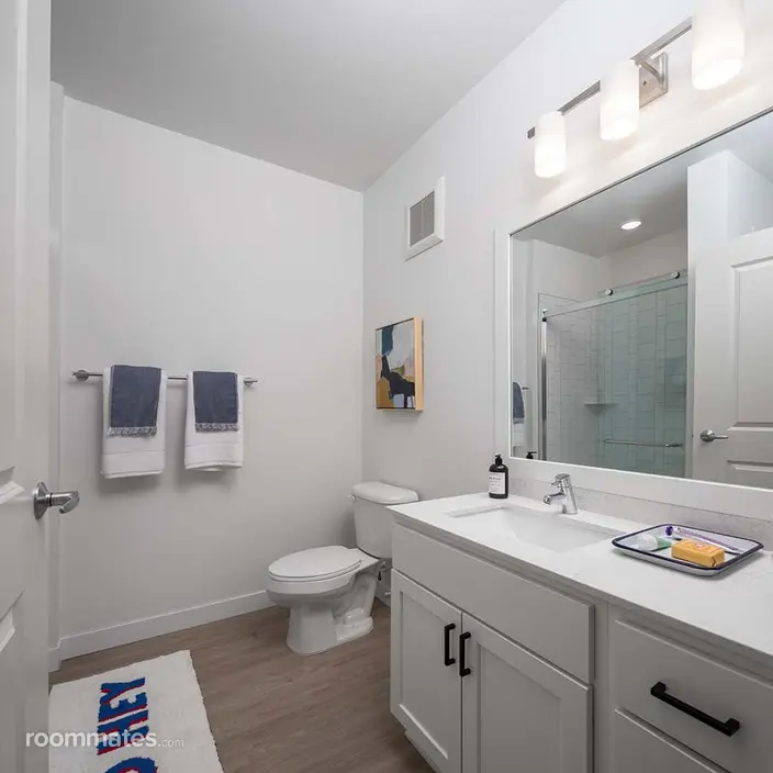 Room for rent in Minneapolis, MN $900, apartment