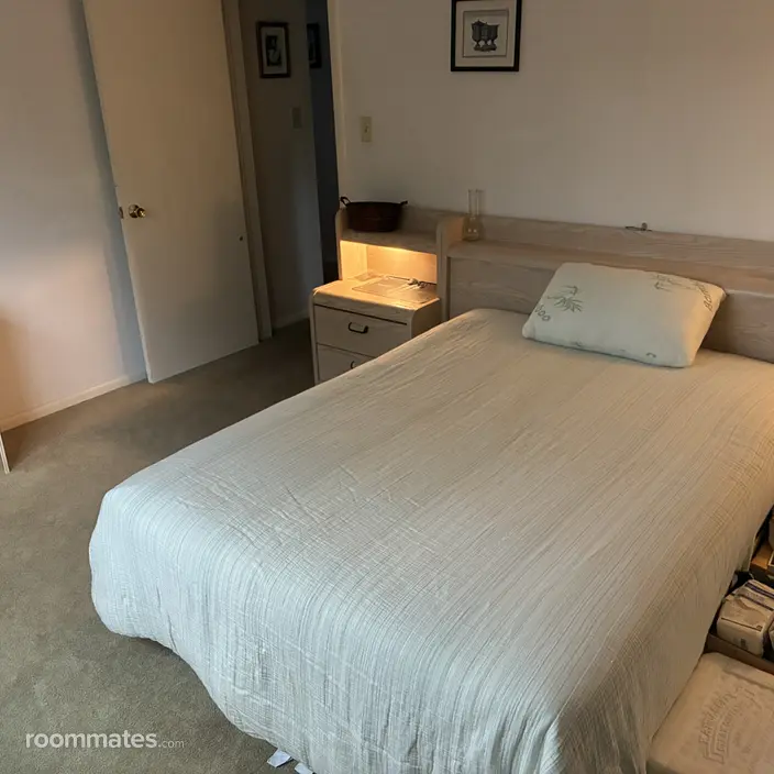 Room for rent in Des Plaines, IL $900, condo