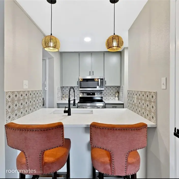 Roommate looking Fort Worth, TX, $1600