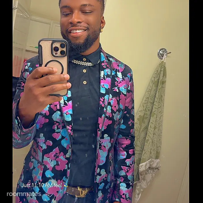 Roommate looking Minneapolis, MN, $1000
