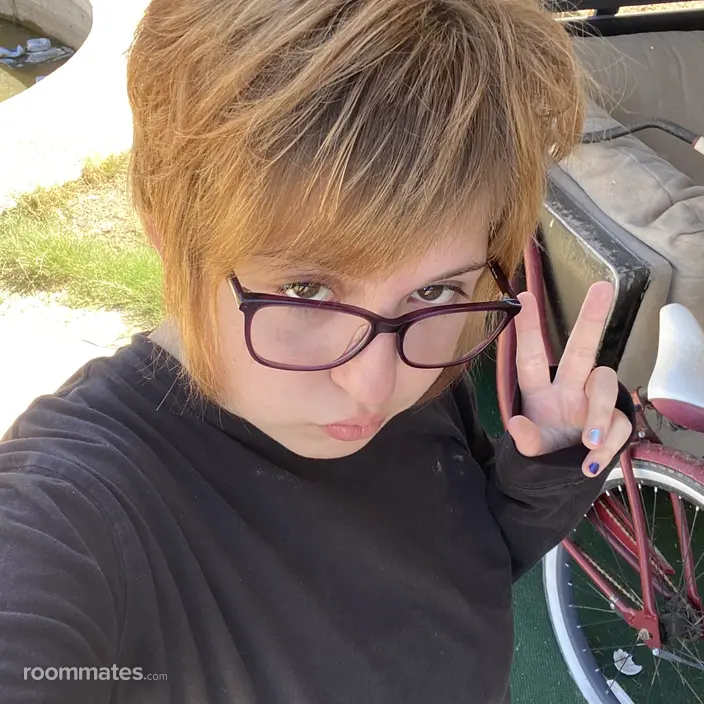 Roommate looking Tempe, AZ, $700