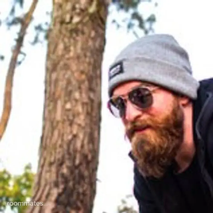 Roommate looking Portland, OR, $900