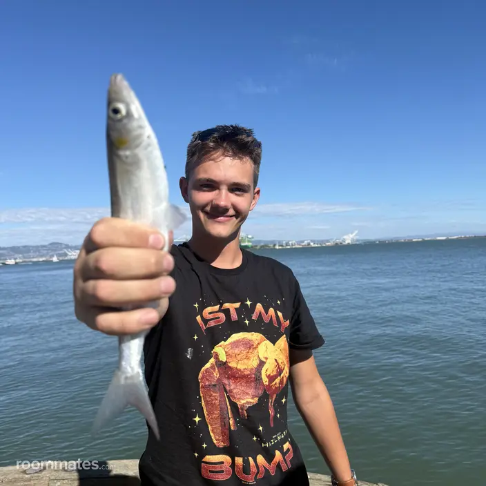 Roommate looking Alameda, CA, $1800