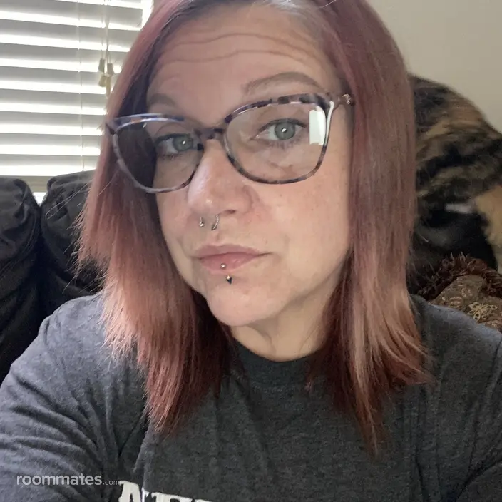 Roommate looking Bartlett, TN, $700