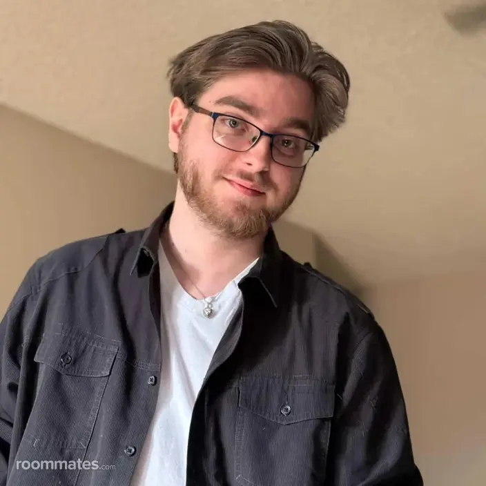Roommate looking Chandler, AZ, $800