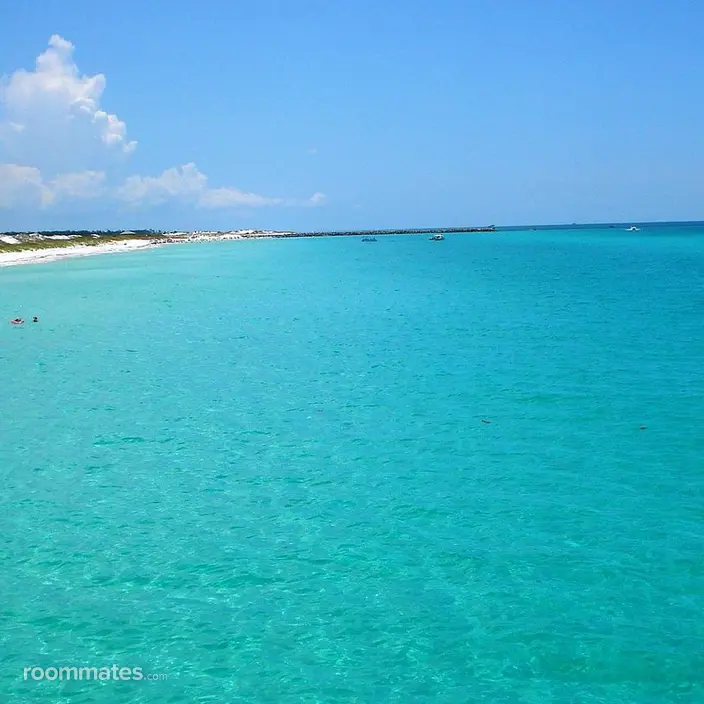 Roommate looking Fort Lauderdale, FL, $1000