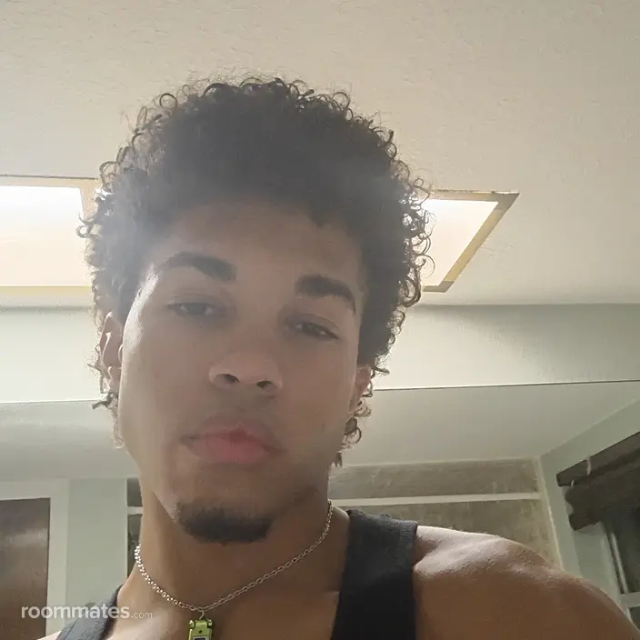 Roommate looking New Port Richey, FL, $800
