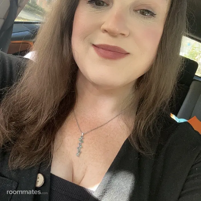 Roommate looking Walpole, MA, $1100