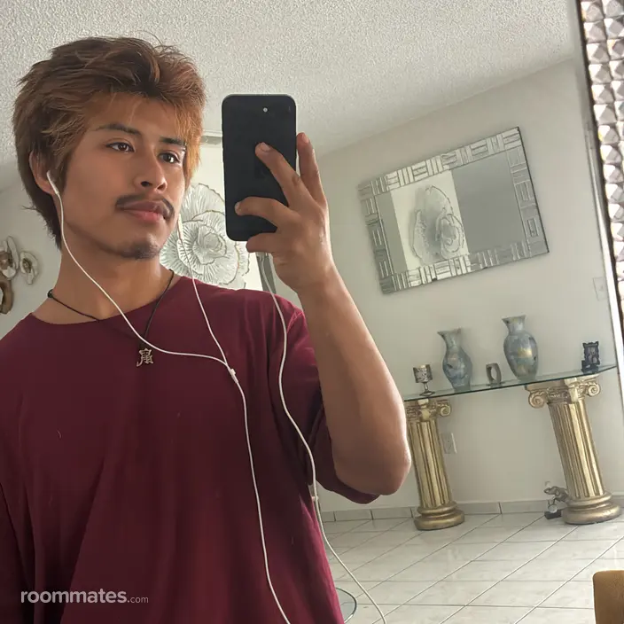 Roommate looking Miami, FL, $1000