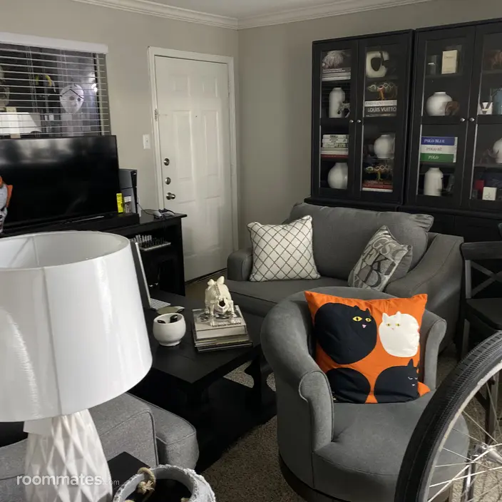 Room for rent in Houston, TX $500, apartment