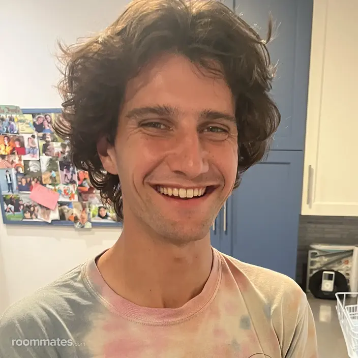Roommate looking Culver City, CA, $1600