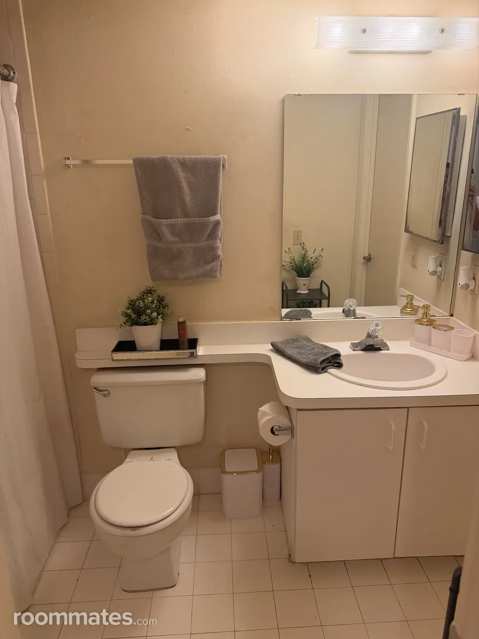 Profile photo 4 of 12