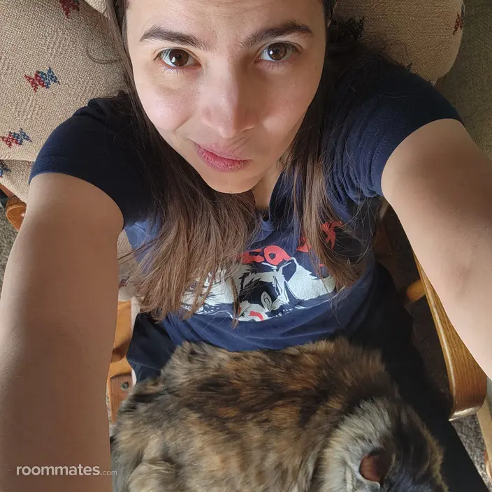 Roommate looking Wichita, KS, $500