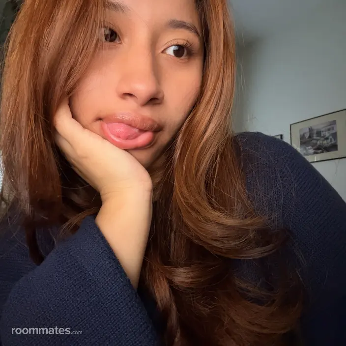 Roommate looking New York, NY, $1000