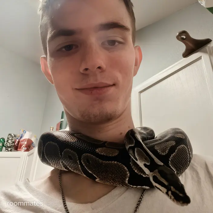 Roommate looking Bastrop, TX, $800