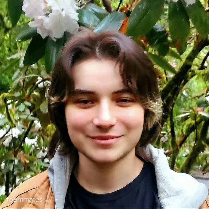 Roommate looking Portland, OR, $800
