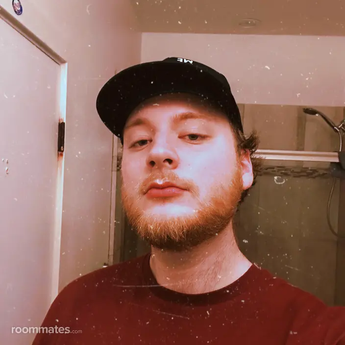Roommate looking Columbia, SC, $1000