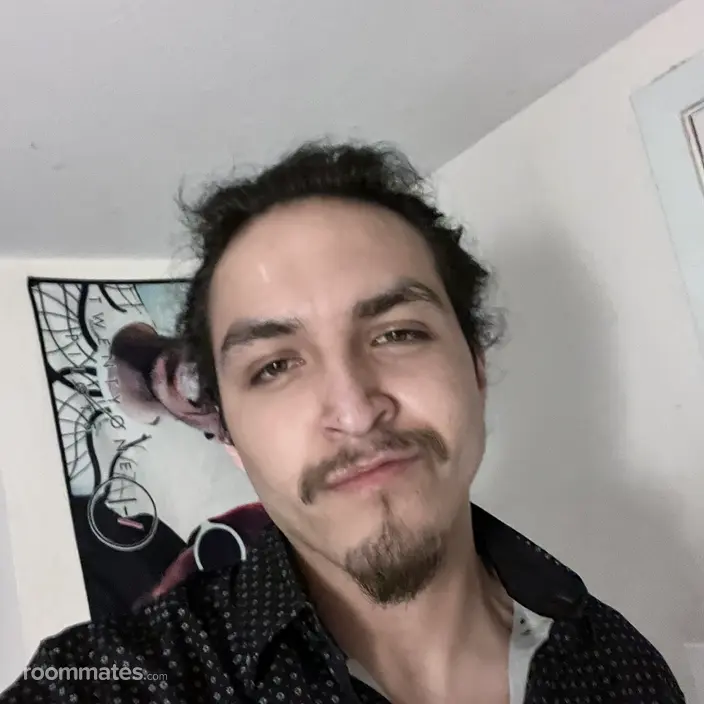 Roommate looking New Rochelle, NY, $900