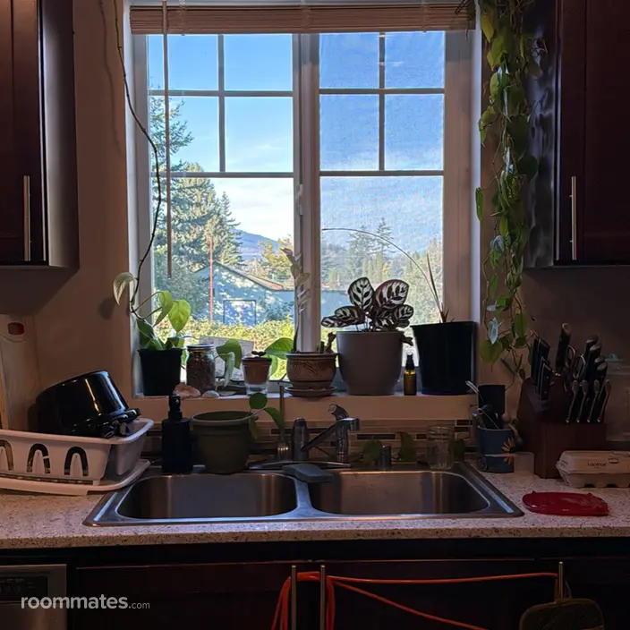 Room for rent in Sedro-Woolley, WA $950, apartment