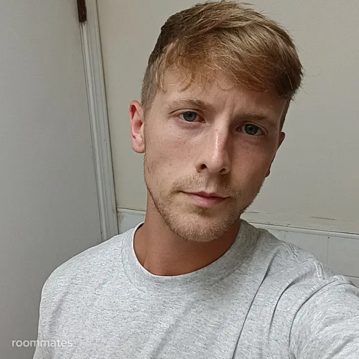 Roommate looking Harvester, MO, $800