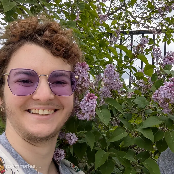 Roommate looking Ocala, FL, $700