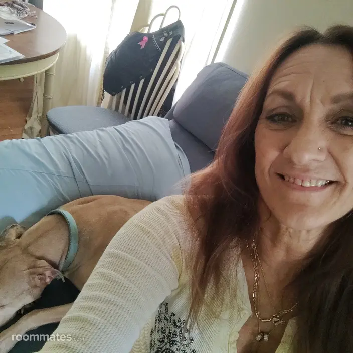 Roommate looking Stuart, FL, $700