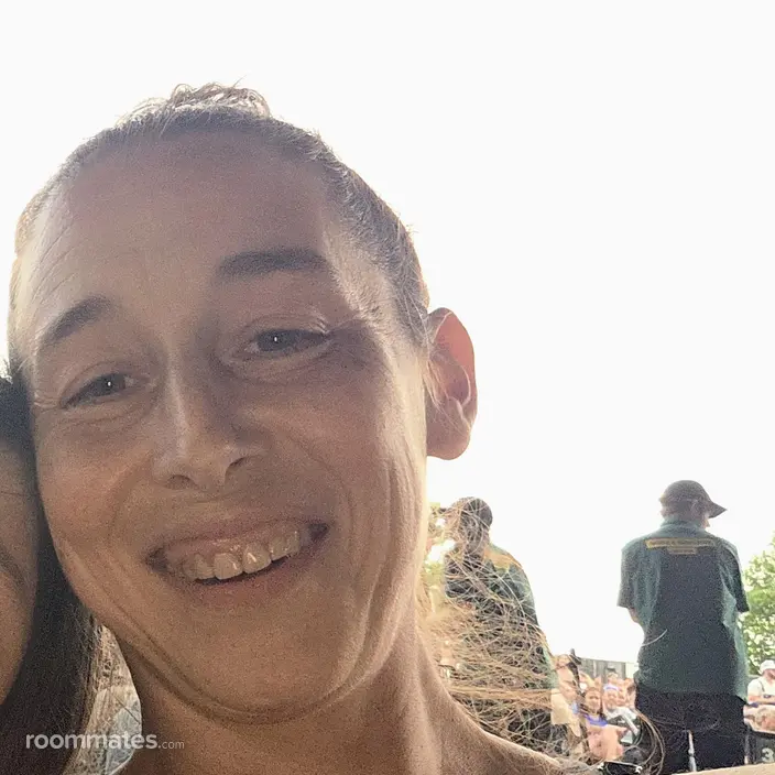 Roommate looking Stoughton, MA, $1000