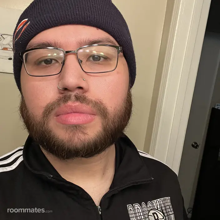 Roommate looking Indianapolis IN, $600