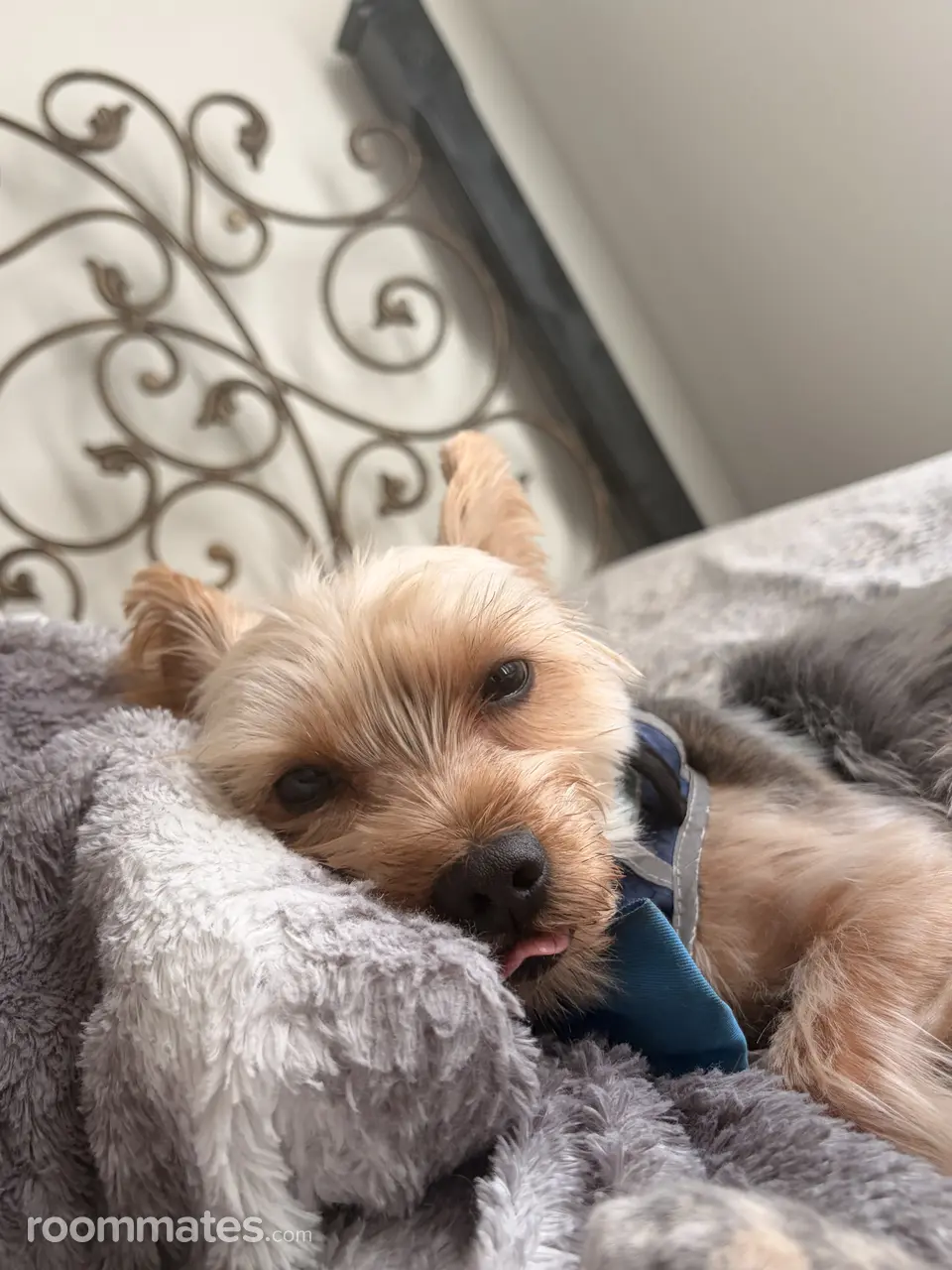 Profile photo 11 of 11