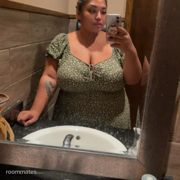 Roommate looking Houston, TX, $800