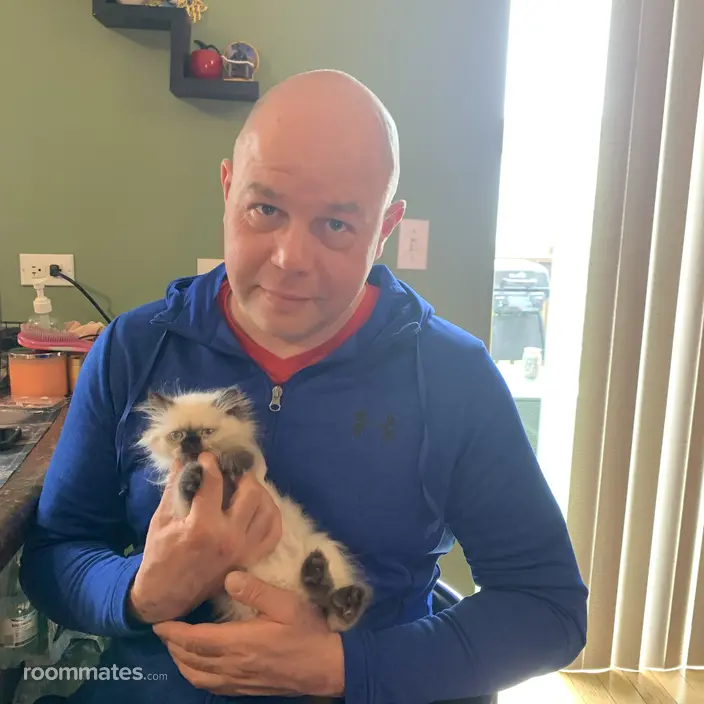 Roommate looking Lemont, IL, $1100