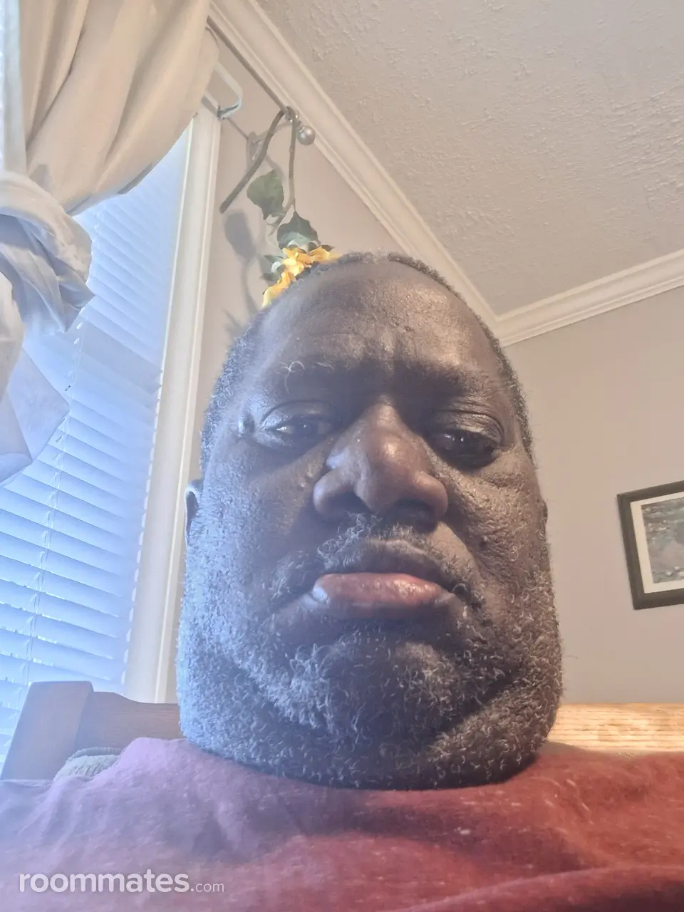 Profile photo 2 of 6