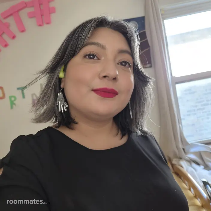 Roommate looking Chicago, IL, $800