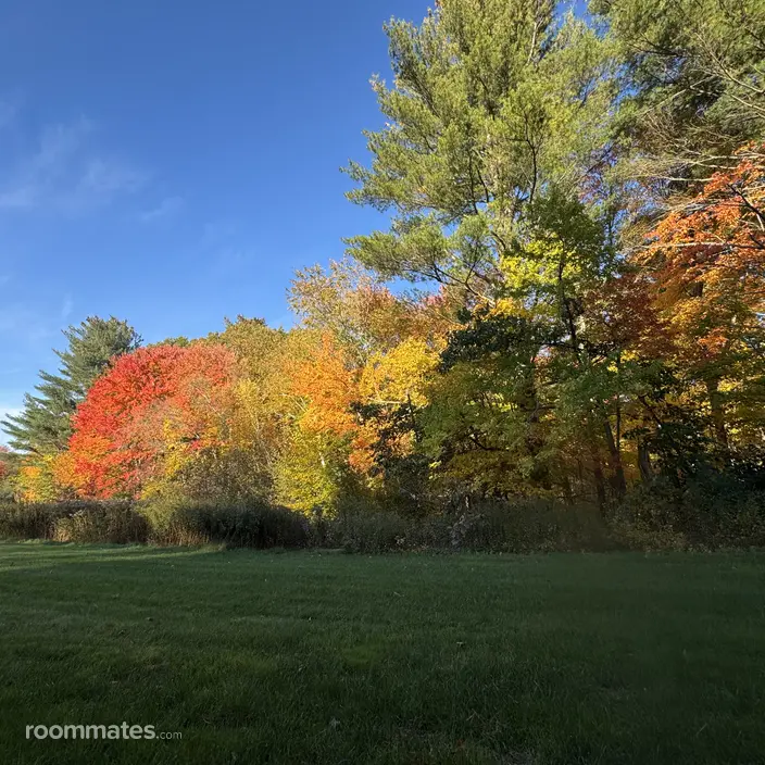 Room for rent in Tyngsboro, MA $1400, apartment