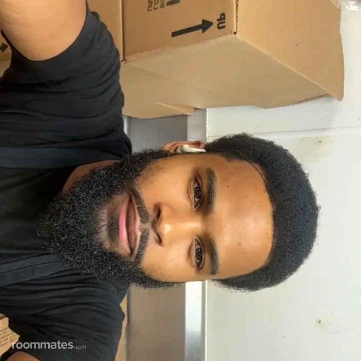 Roommate looking Chicago, IL, $1200