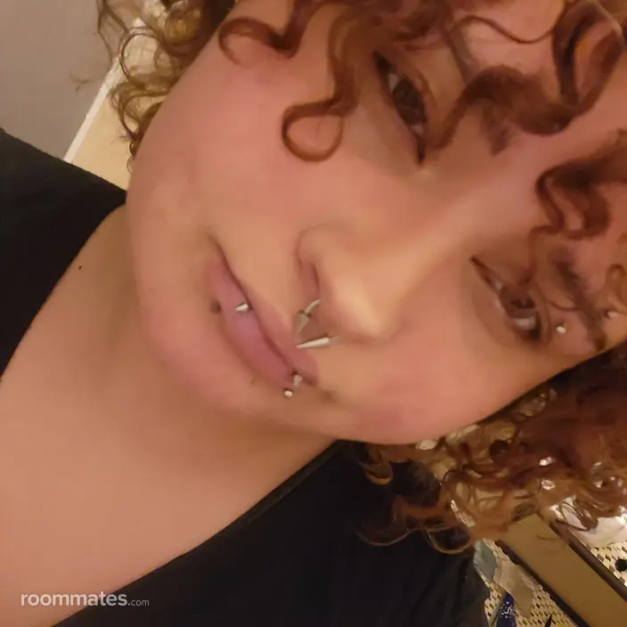 Roommate looking Casa Grande, AZ, $500