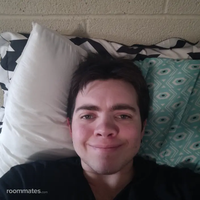Roommate looking Chicago, IL, $800