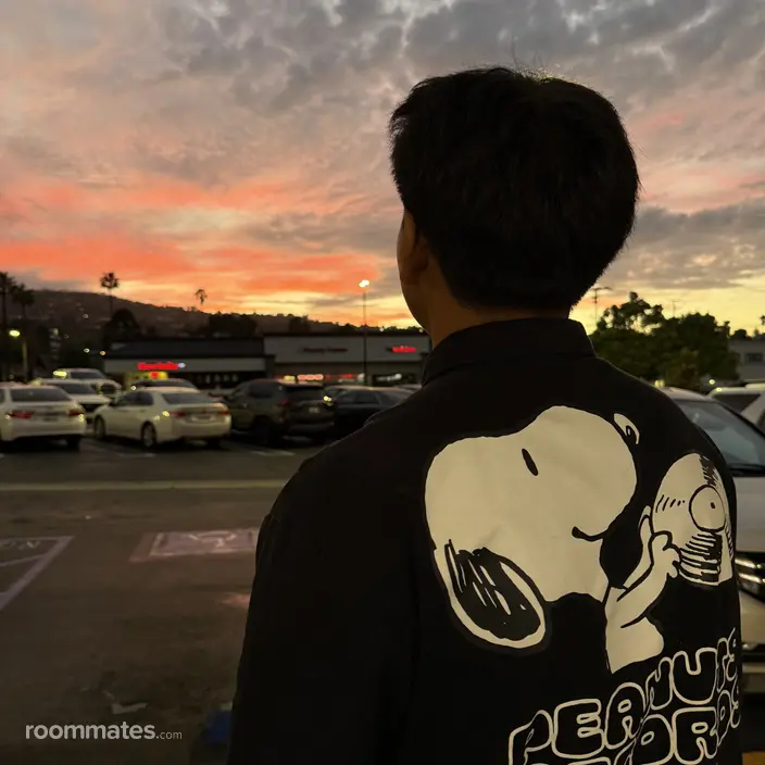 Roommate looking Anaheim, CA, $1200