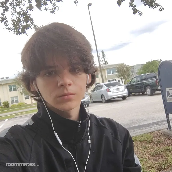 Roommate looking Spring Hill, FL, $600