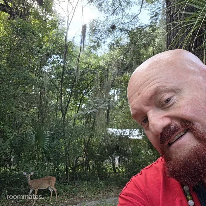 Roommate looking Loris, SC, $1100