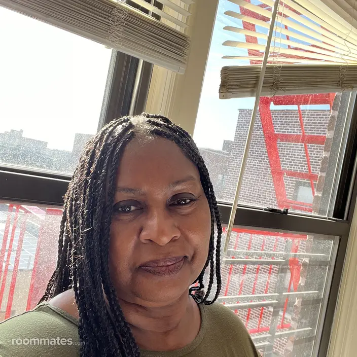 Roommate looking Queens Village, NY, $600