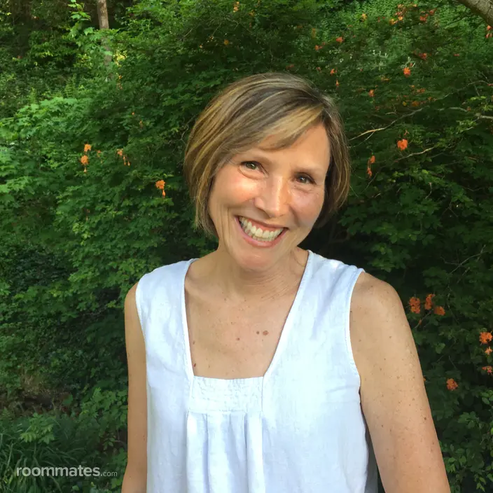 Roommate looking Asheville, NC, $1000