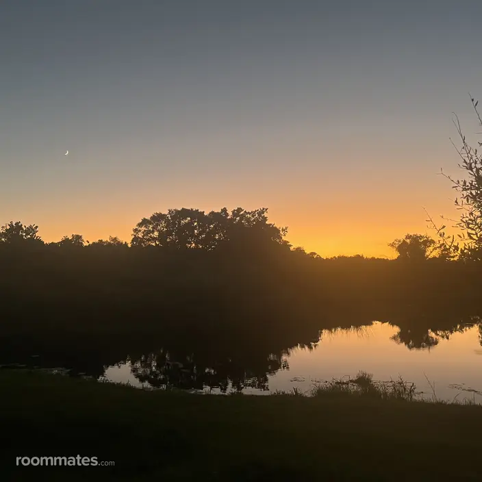 Room for rent in Sun City Center, FL $900, townhouse