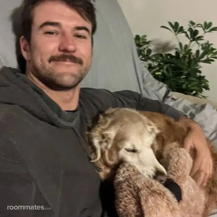 Roommate looking Truckee, CA, $1200