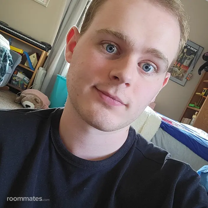 Roommate looking Orem, UT, $700