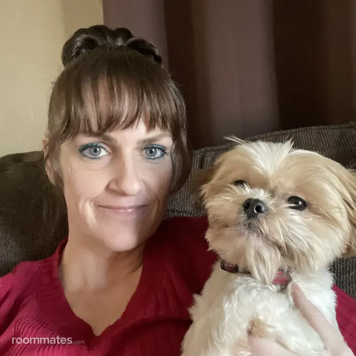 Roommate looking Hurricane, UT, $1000