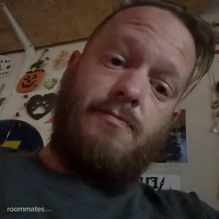 Roommate looking Grand Rapids, MI, $400