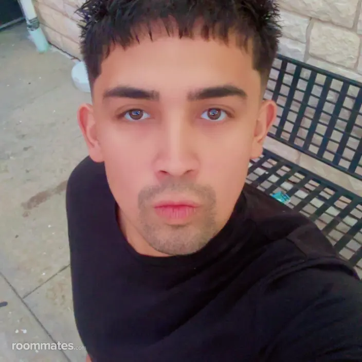 Roommate looking Texas City TX, $600